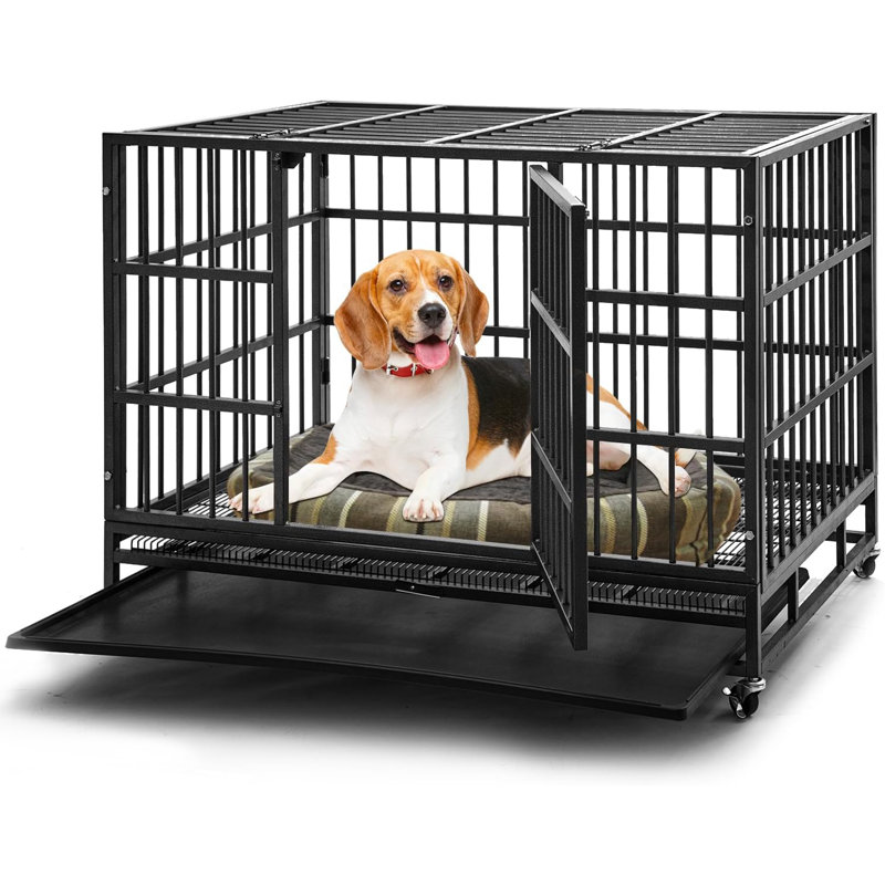 Heavy duty double door dog crate best sale